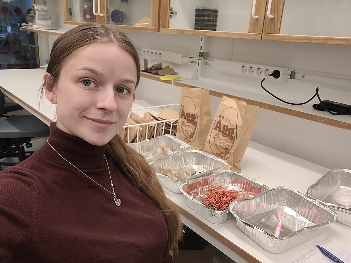 A spring and summer with the EDGE&nbsp;lab